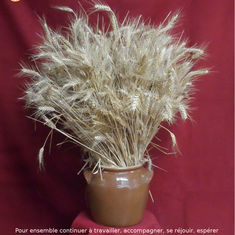 C'est parti pour 2018!