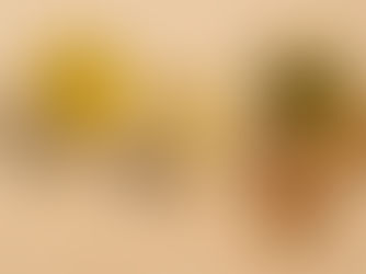 Three small glass bowls filled with different cooking oils surrounded by sunflower seeds, rapeseeds, and a wooden spoon on a light wooden surface.