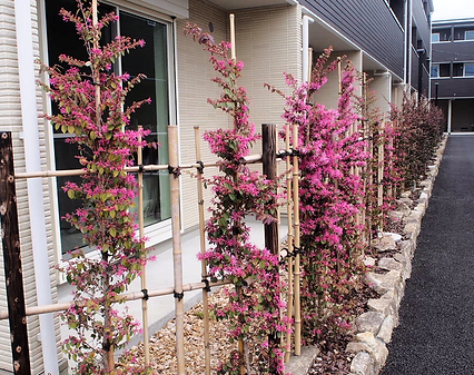 plantscapedesign sou　 外構｜植栽｜足立区｜ガーデニング