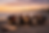 Sunset bonfire gatherings in La Jolla