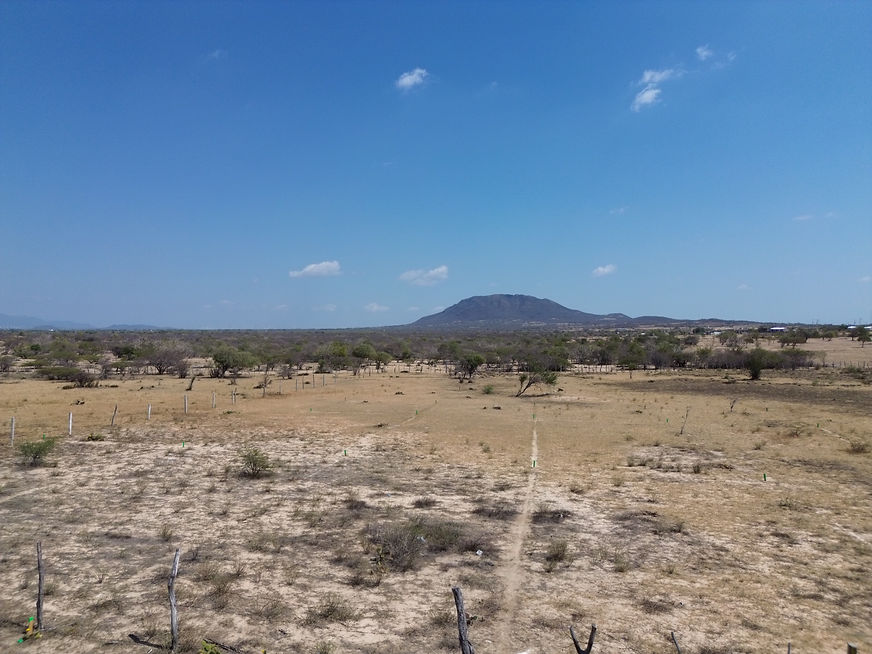 dji_fly_20240223_135332_27_1708718032381_photo.jpeg