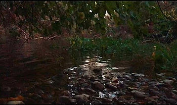 sddefault (1)_edited.jpg