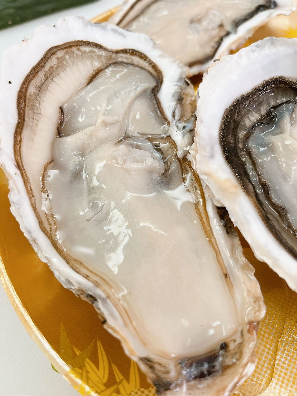 縮圖： 日本赤崎蠔 6隻