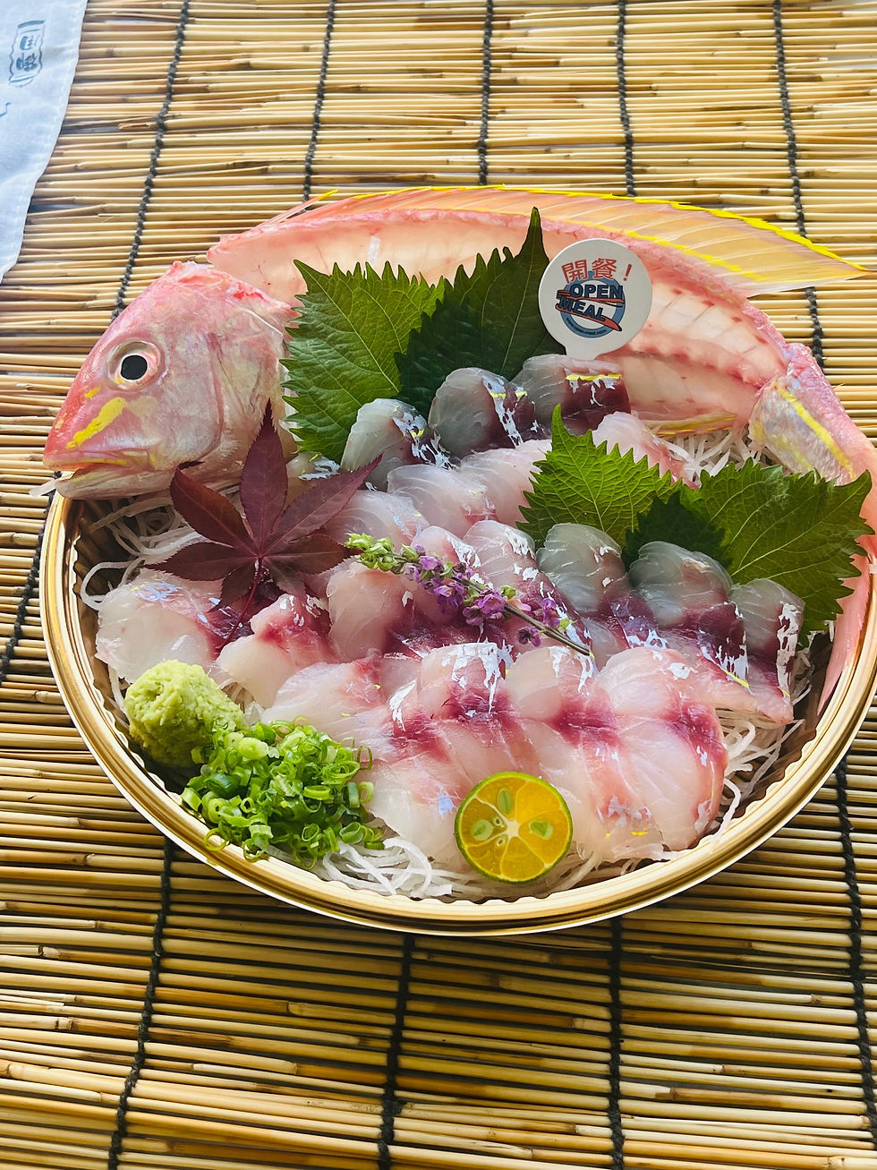 縮圖：[日本九州] 原條日本金線鯛刺身