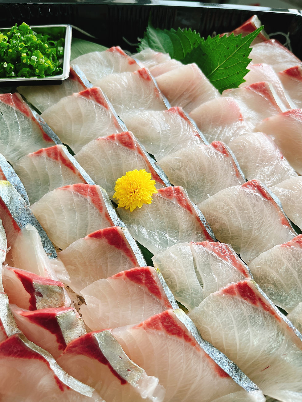 縮圖：[日本九州] 日本大池魚刺身 - 1份（季節限定）