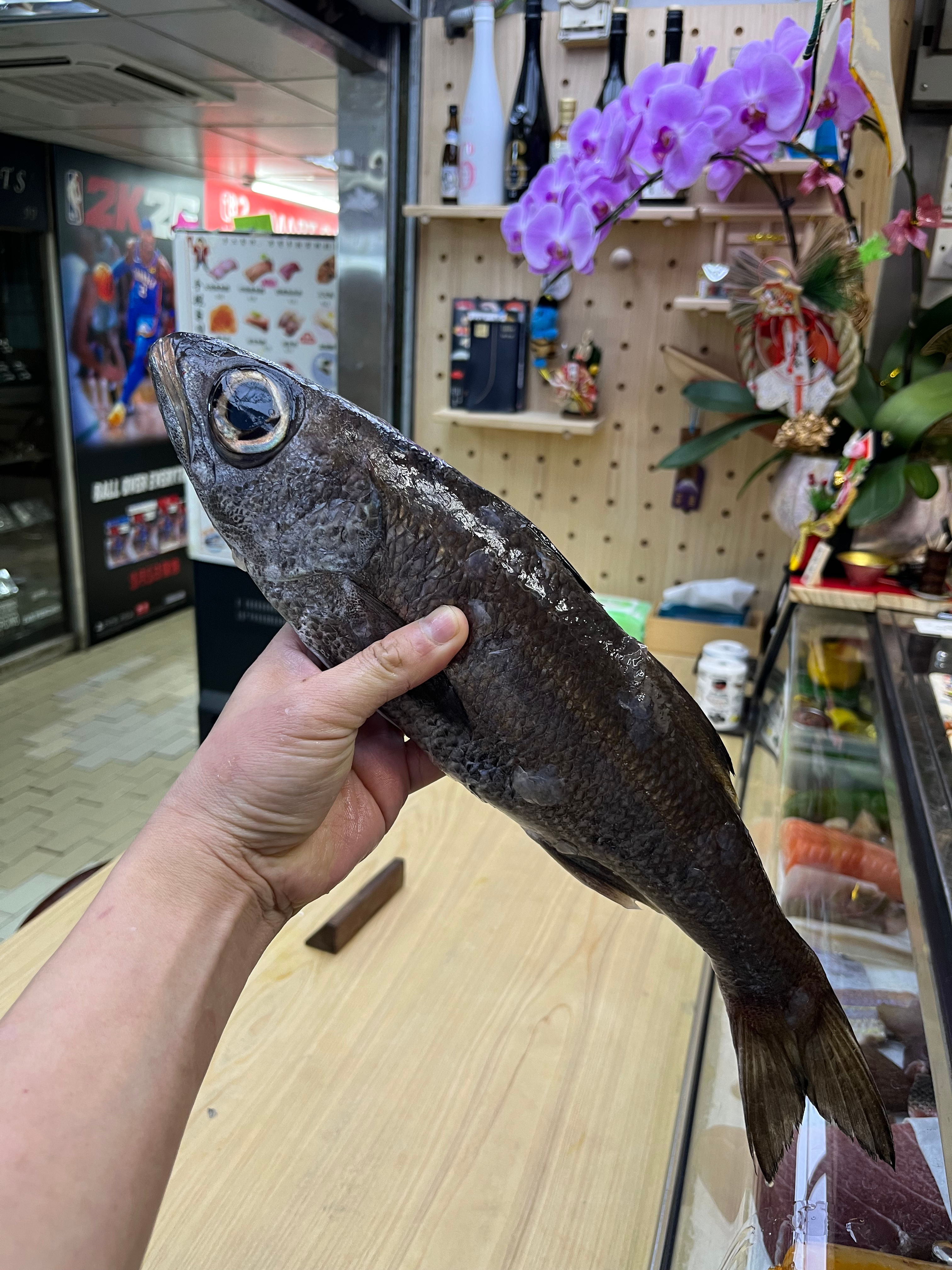 原條黑鯥魚刺身 800g