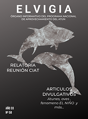 Portada revista diseño abstracta naranja blanco.png