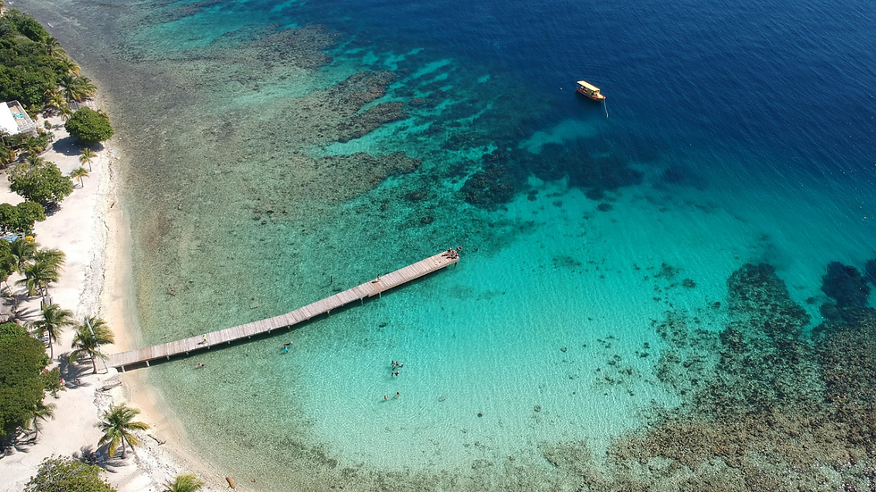 Isla de Roatan 𝐓𝐞𝐫𝐫𝐞𝐬𝐭𝐫𝐞