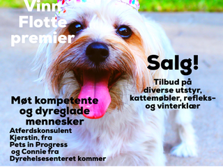 Velkommen til åpent hus 1.februar!