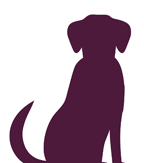 Skjermbilde 2025-10-16 kl. 13.41.33.png