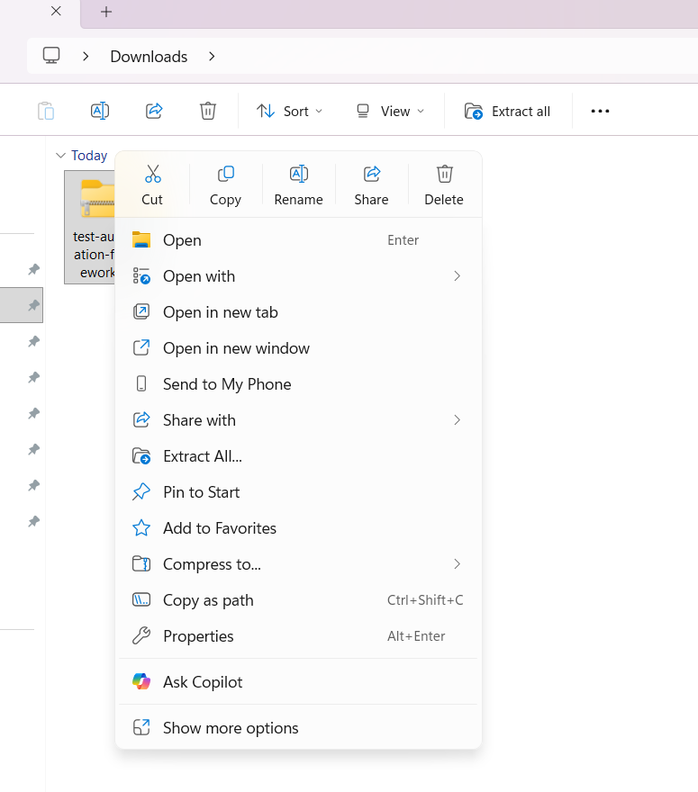 Extract ZIP Playwright ZIP folder