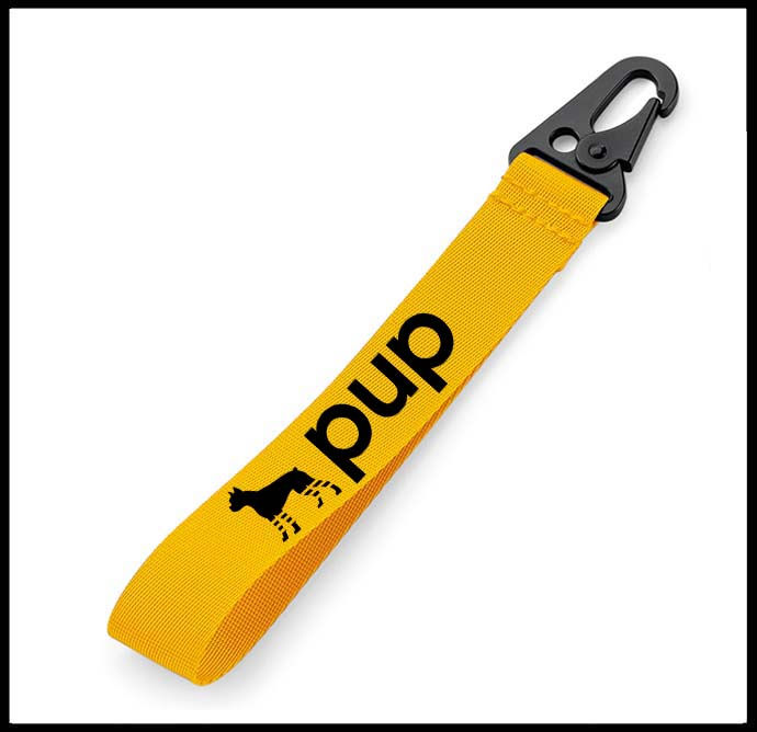 Thumbnail: PUP / KYC