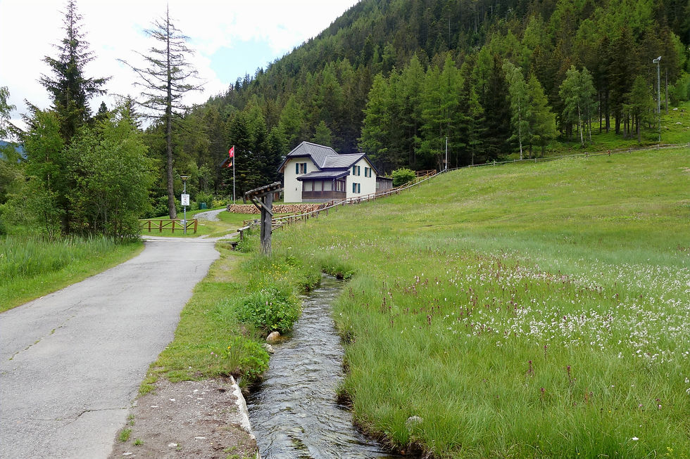 Prés et bisse au bord du lac - Virée verte ©