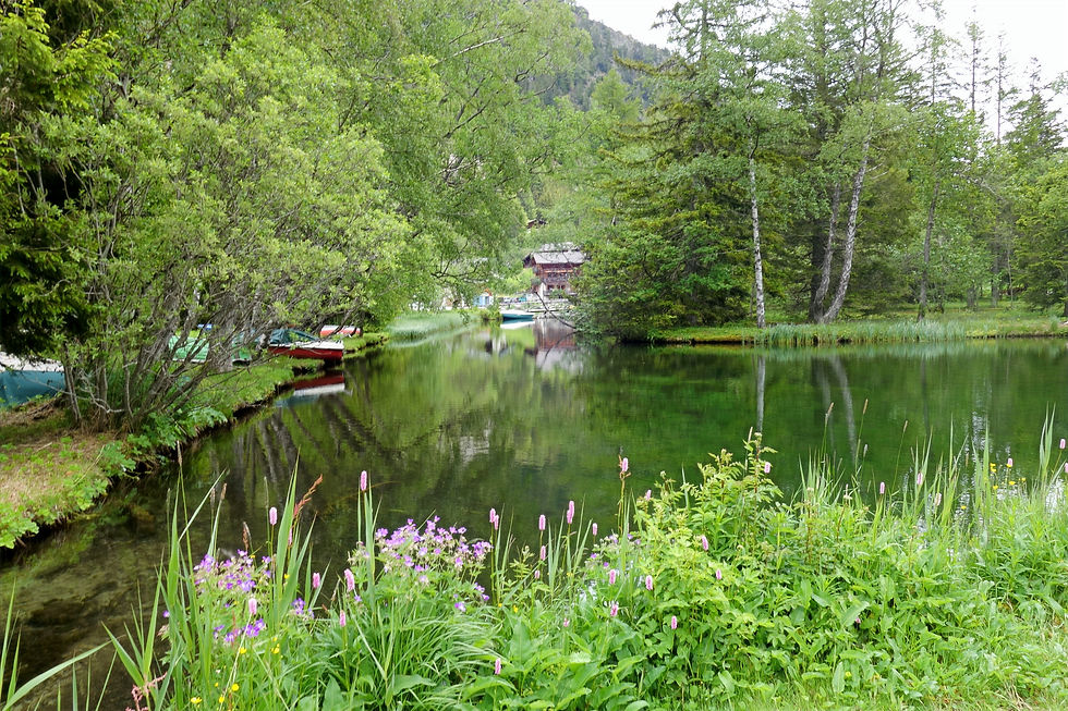 Promenade au bord du lac - Virée verte ©