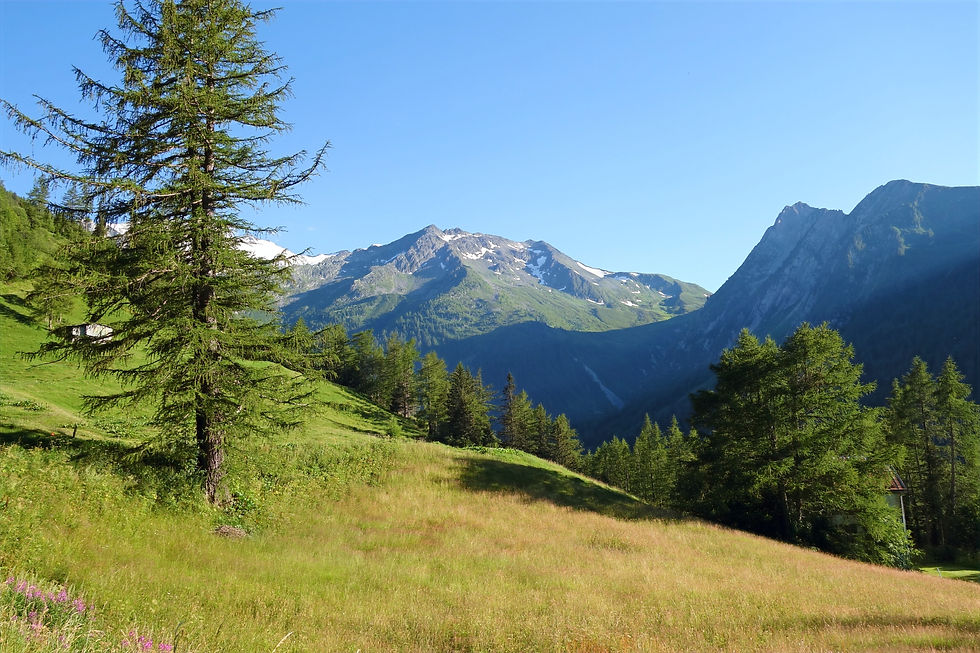 Départ du bisse de Trient - Virée verte ©
