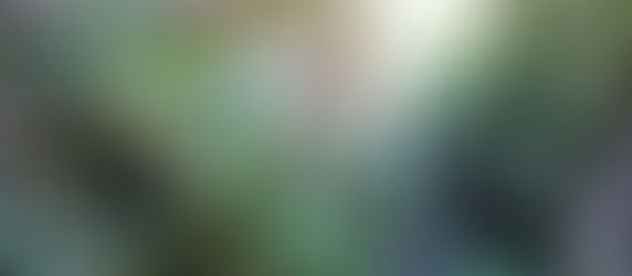 Les gorges de Tête-Noire et la grotte des Nymphes à Trient : haut lieu du tourisme oublié.