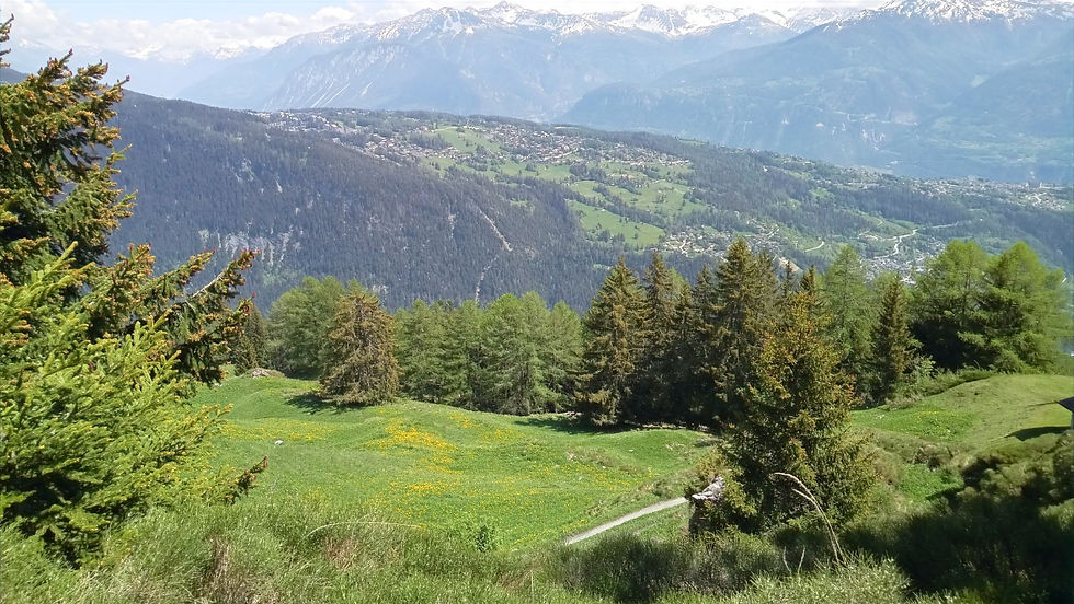 Panorama depuis Grillès - Virée verte ©