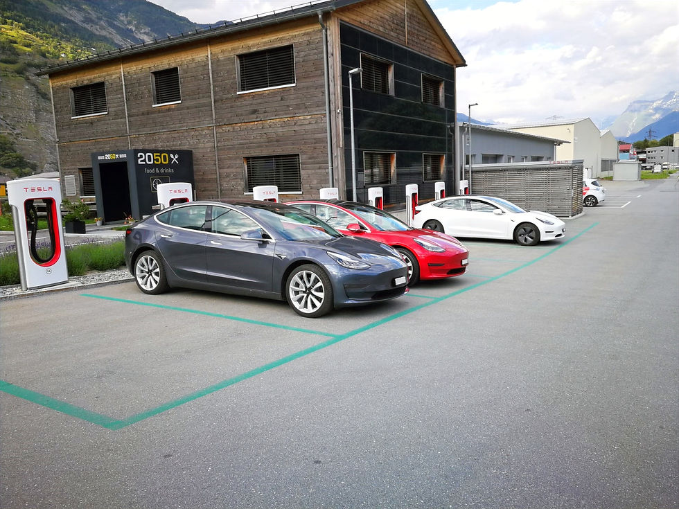 Superchargers de Gampel - Virée verte ©