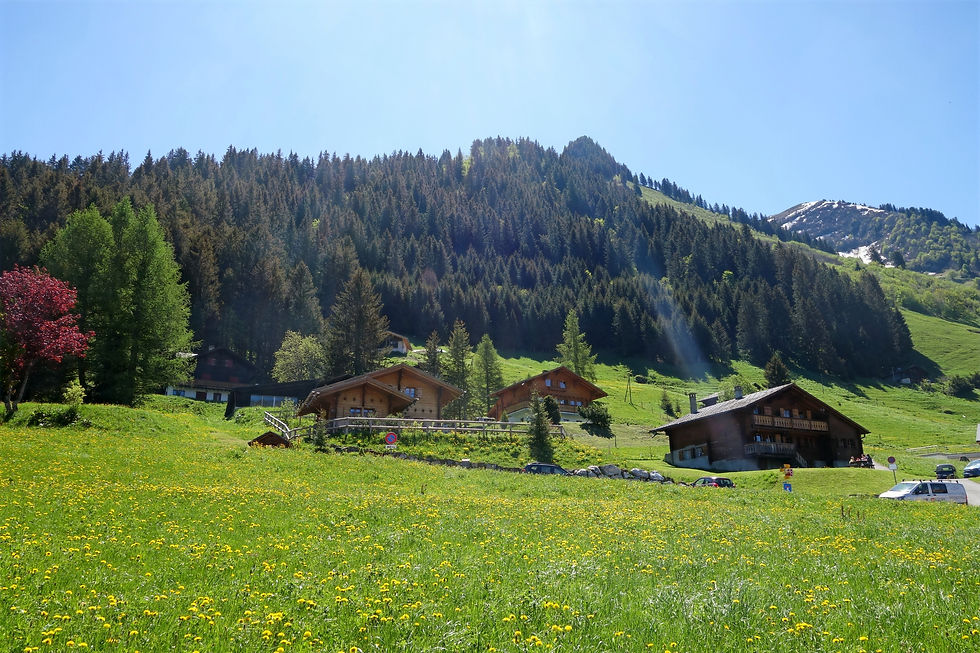 Mise en route à travers les chalets - Virée verte ©