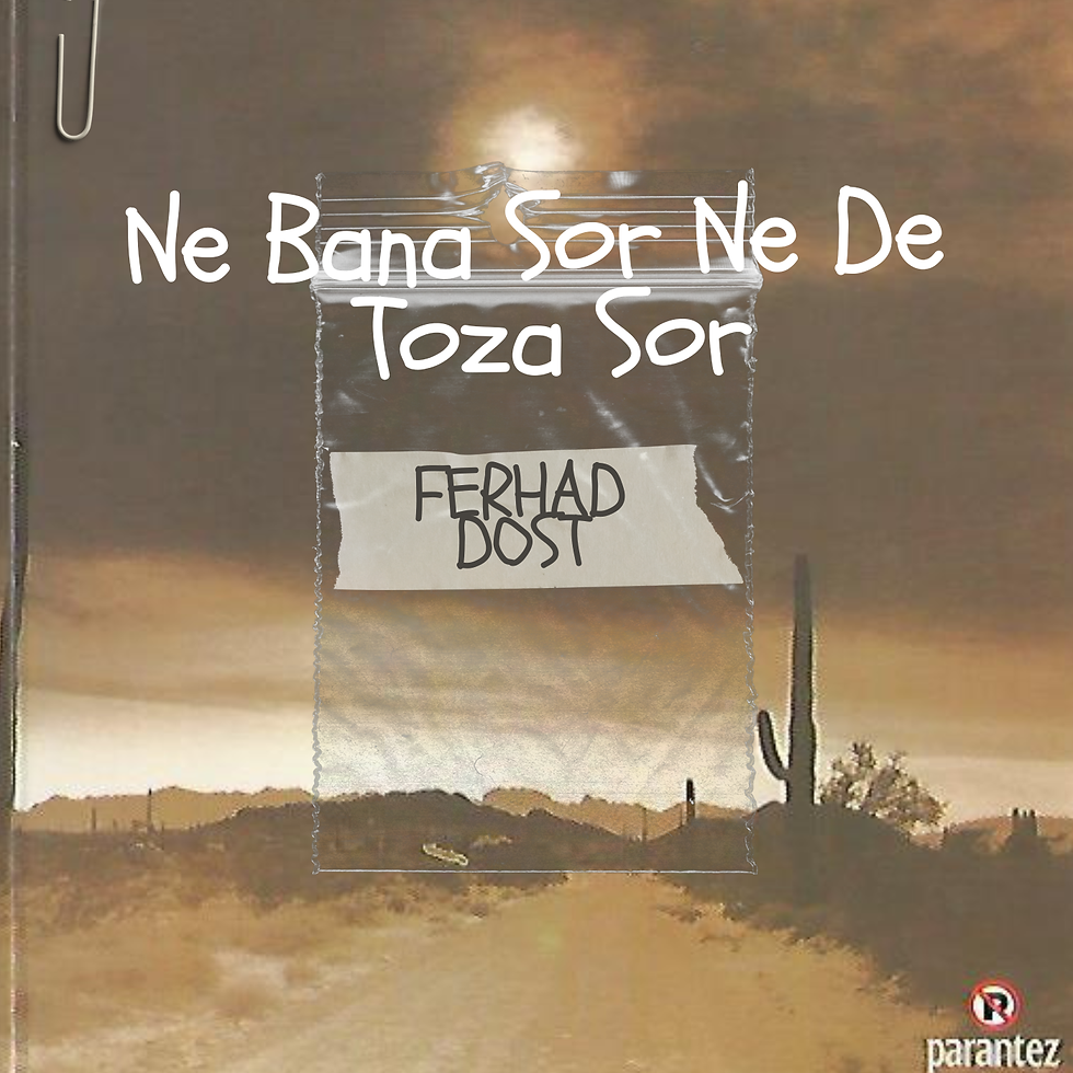 Ne Bana Sor Ne De Toza Sor - Ferhad Dost