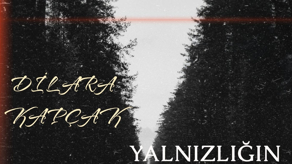 Yalnızlığın Triyolesi - Dilara Kapçak