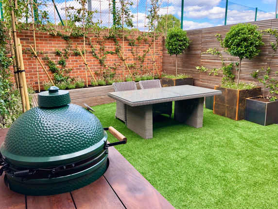 Small city garden-pleached screening-Hammersmith