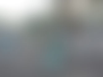 Sanitização é realizada no bairro Santa Mônica nesta quinta-feira (24)