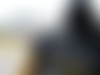 Prefeitura apura mais de 2,7 mil denúncias em uma semana