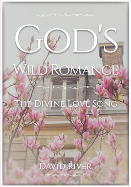 GOD'S WILD ROMANCE (GRAY SHADE).png