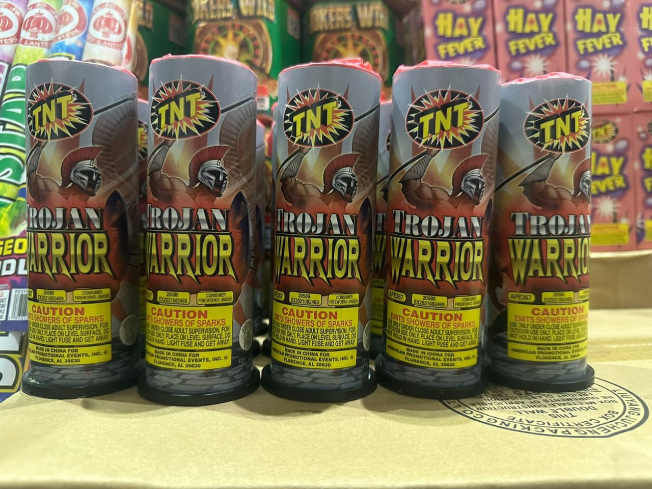 Trojan Warrior