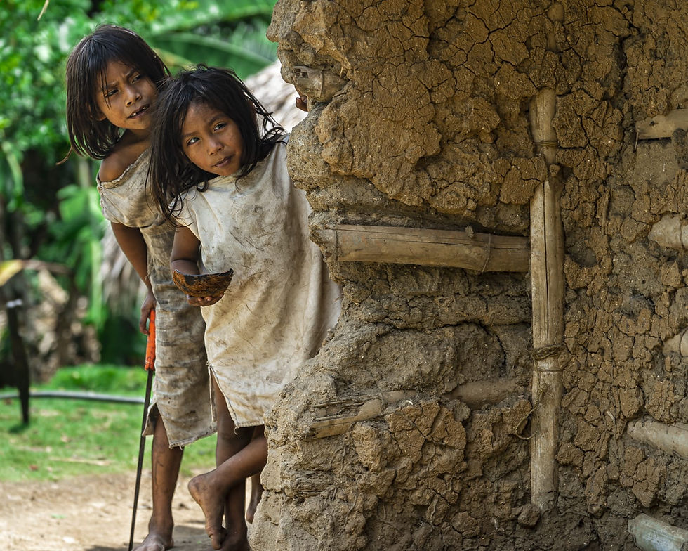 la cascada sagrada de los koguis en santa marta - Ñitaxanda.