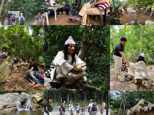 Avistamiento de aves - sendero aguas frias.