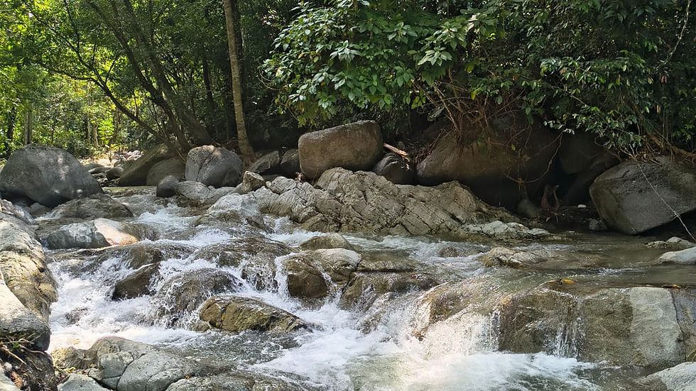 la cascada en la poza del amor