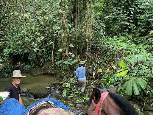 🌿 Rutas Sostenibles en Santa Marta: Conexión con Comunidades Indígenas