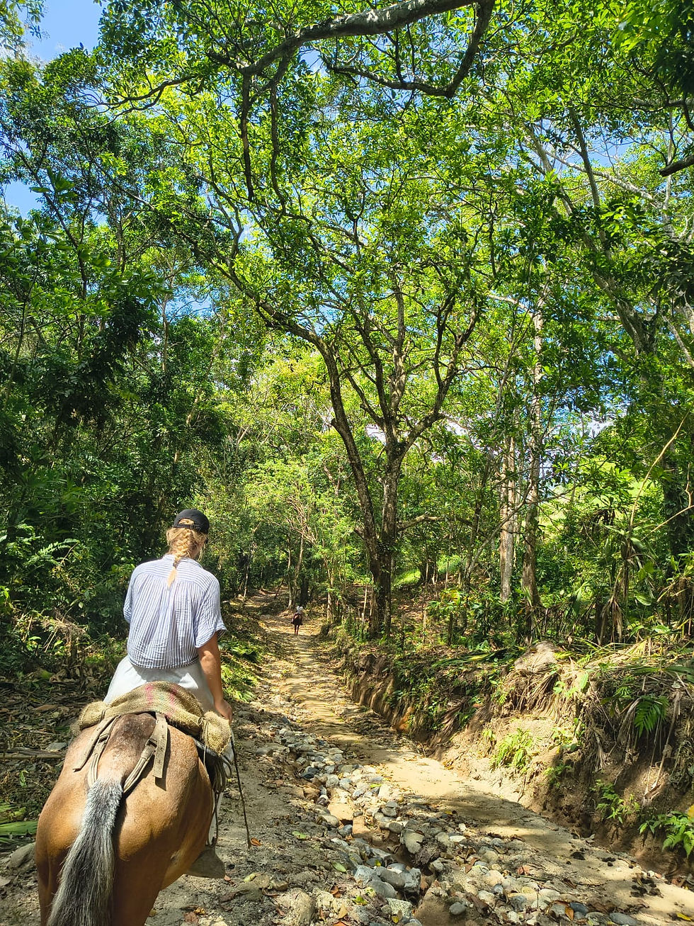 Cabalgata ancestral en santa marta
