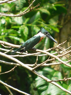 IMG-20220515-WA0110 (1).jpg