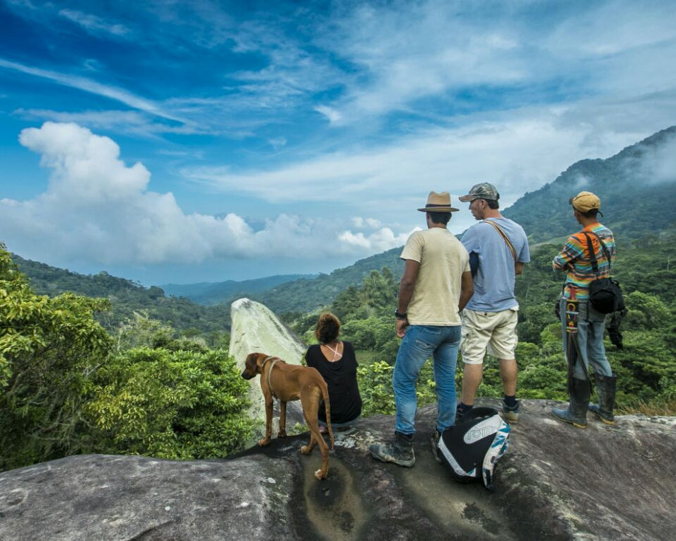 chevaux à Santa Marta - Duwanaby.