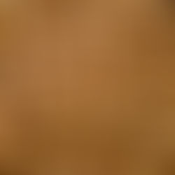 The Economics of Macadamia Farms in Veracruz