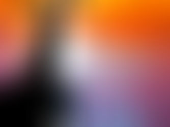 Primer domingo de Cuaresma“Todo el que crea en él no será confundido” (Rom.10,11)