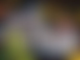 BUENAS NUEVAS DEL INSTITUTO DIVINO NIÑO JESUS: