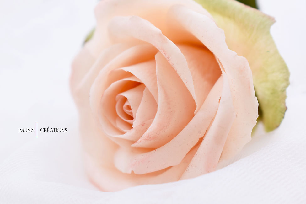 MC- 23.05 (31) copie.jpg