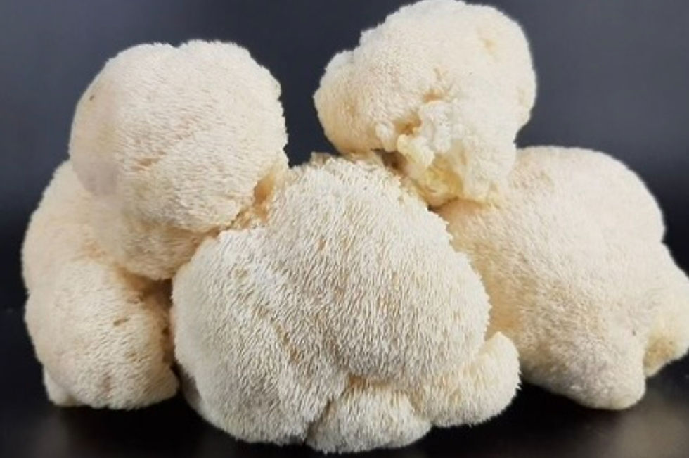Lion's mane mushrooms