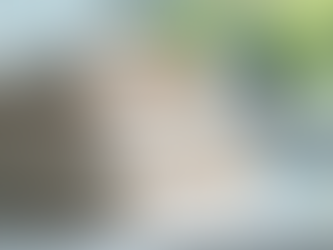 Best Automotive Cleaning Tools for Detailing