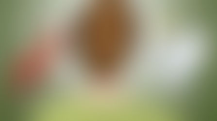 ¿PARA QUE NOS SIRVE LA ÉTICA?