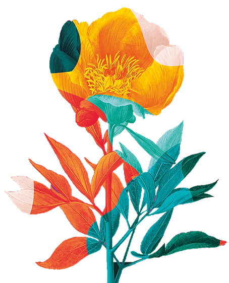 RHS-Chelsea-Logo.png
