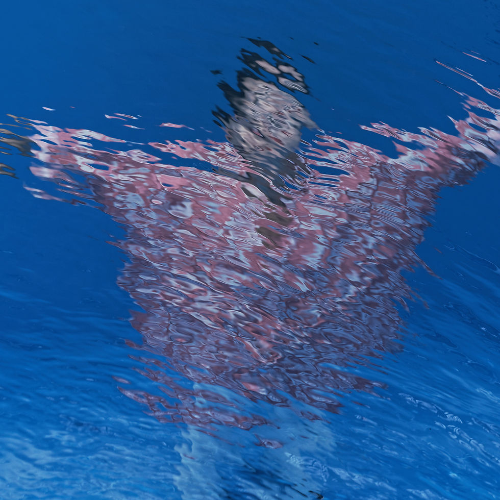 Immersion #10 ©Pol Mareschal