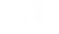 Reels Up Logo