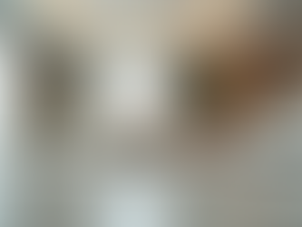 Choosing the Best Cleaning Services in Bratislava