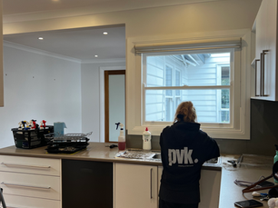 woman pvk cleaning dishes in sink