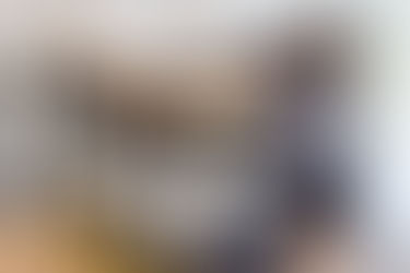 Contemporary Elegance